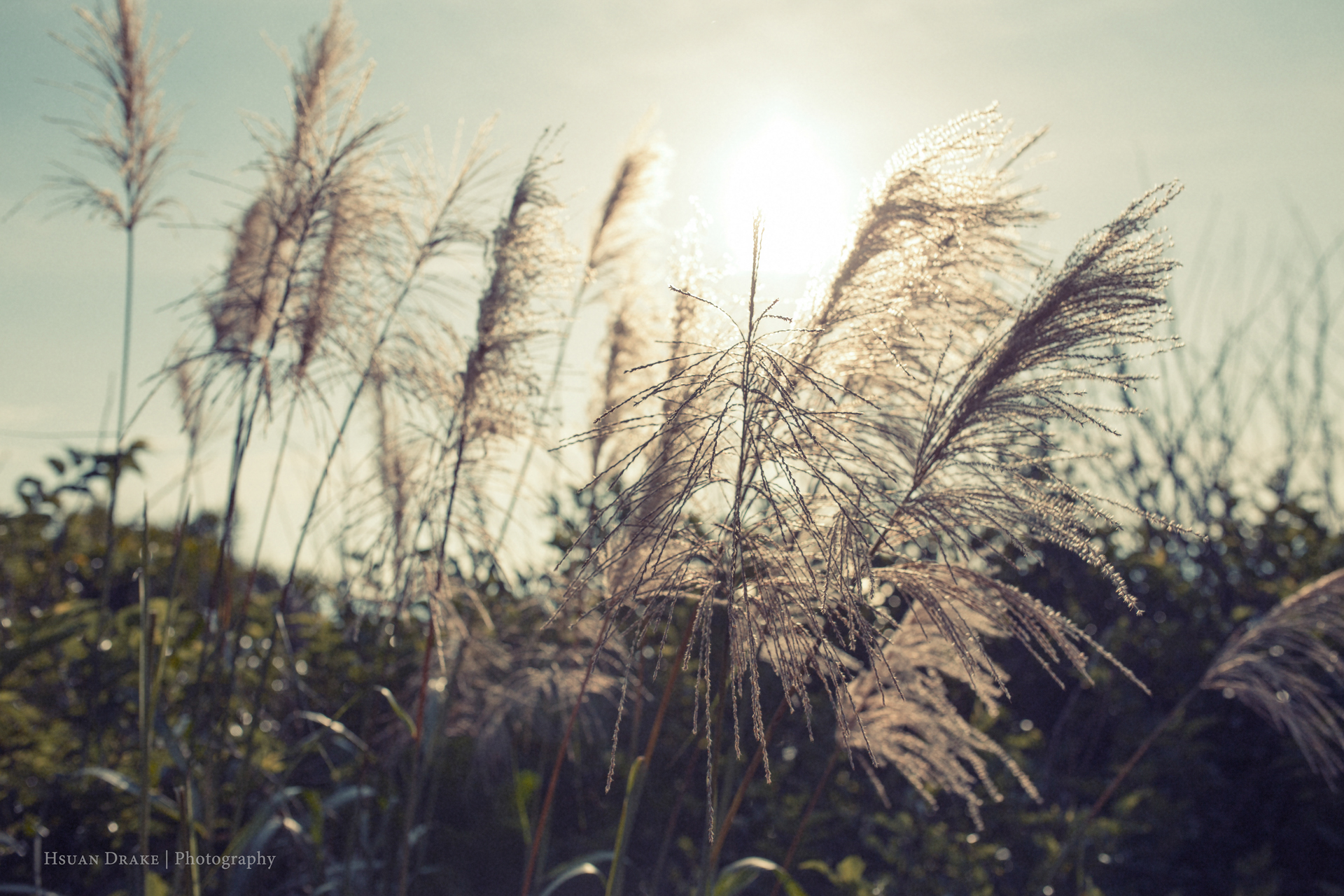 524Before@Hometown_0005