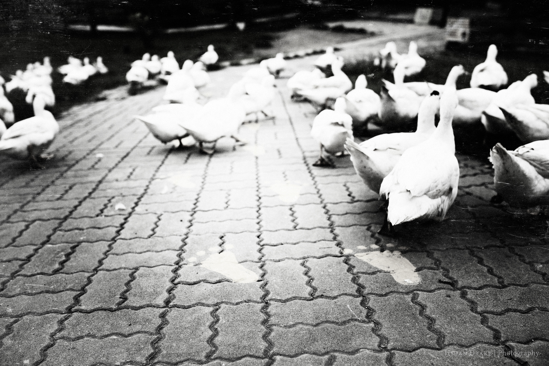 524Before@Hometown_0005